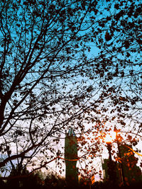 Low angle view of tree against sky