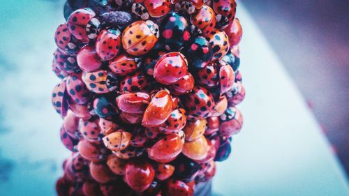Close-up of fruits on table