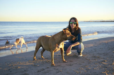 Portrait of woman with dogs at beach against clear sky during sunset