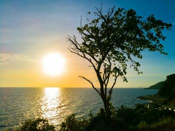 Scenic view of sea at sunset