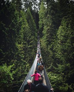 High angle view of people on footbridge in forest