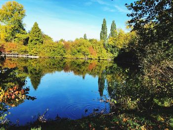 Scenic view of lake in forest against sky