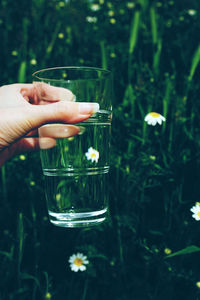 Close-up of woman holding glass of water against plants