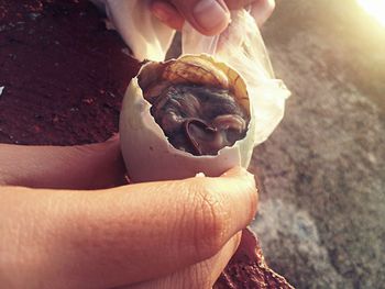 Close-up of person holding ice cream