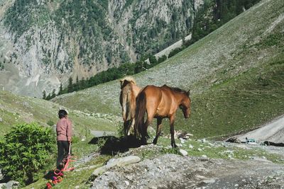 Rear view of man standing on rock