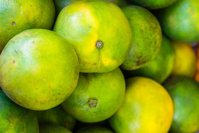 Fresh organic sweet lime from farm close up from different angle