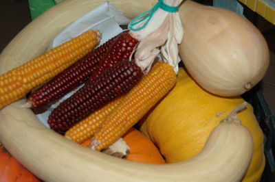 Close-up of food in plate