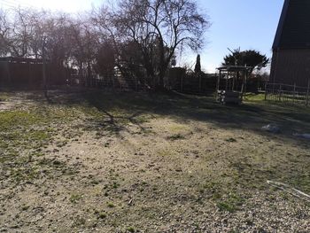 Bare trees and houses on field against sky