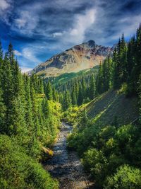 Scenic view of tree mountains against sky