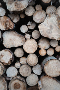 Full frame shot of logs in forest