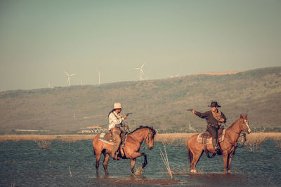 Horse riding horses