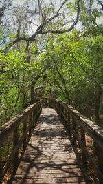 Footbridge amidst trees