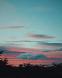 Low angle view of silhouette trees against sky at sunset