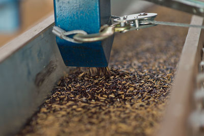 High angle view of coffee beans