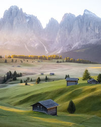 landscape