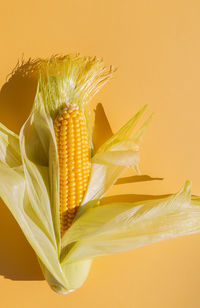 Close-up of fresh yellow leaf on table