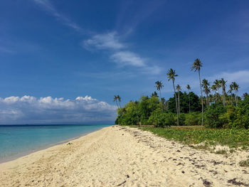 Scenic view of beach against blue sky