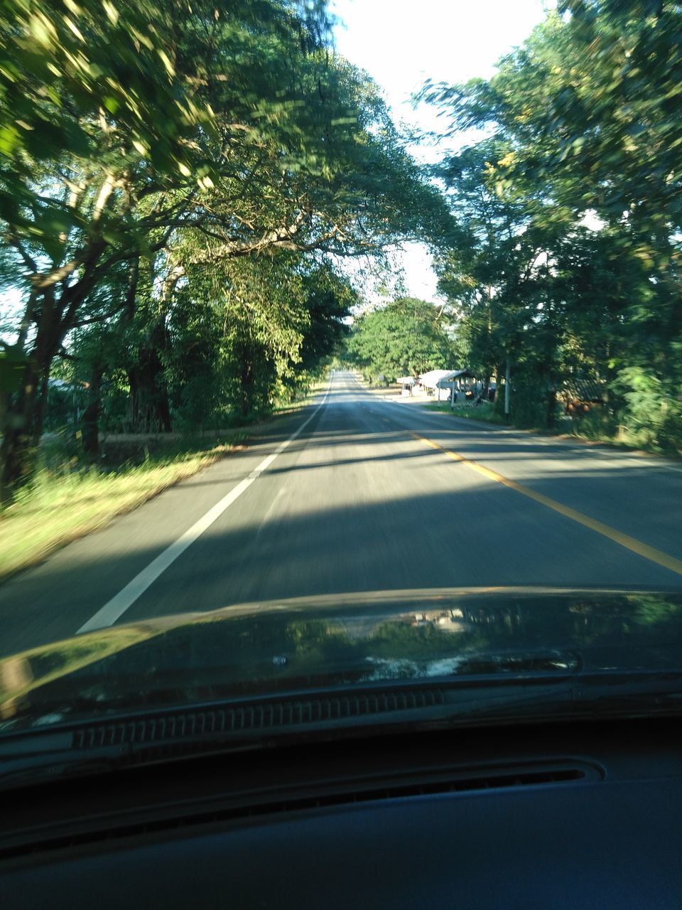 ROAD AMIDST TREES SEEN THROUGH CAR