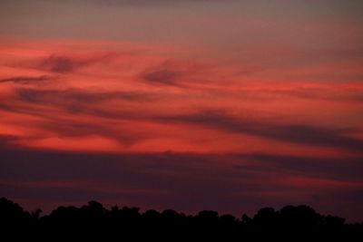 Low angle view of silhouette trees against dramatic sky