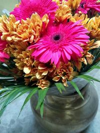 Close-up of sunflowers blooming outdoors