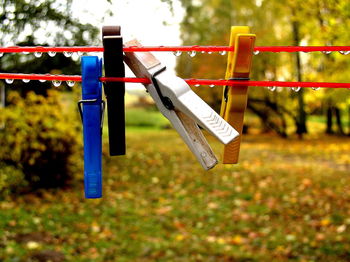 Close-up of clothespins on wet clothesline in yard