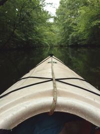 Low angle view of boat hanging in forest