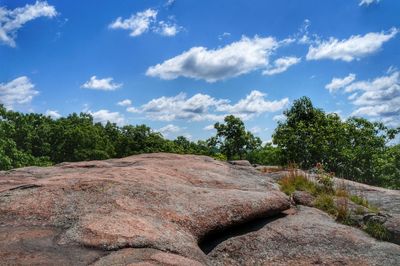 View of trees on landscape against sky