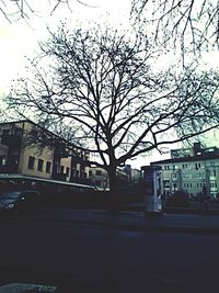 Buildings in city against sky