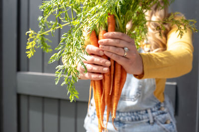 Midsection of woman holding plant