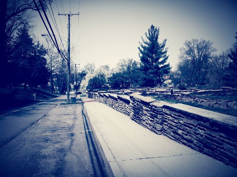 transportation, tree, the way forward, clear sky, diminishing perspective, railroad track, road, vanishing point, bare tree, sky, long, street, electricity pylon, empty, rail transportation, outdoors, no people, surface level, snow, nature