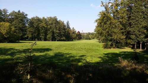 Trees on field against sky