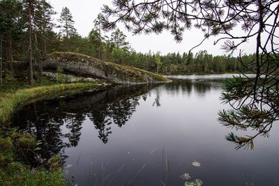 Scenic view of lake in forest against sky