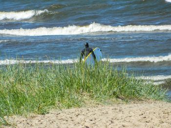 Man with surfboard walking in sea