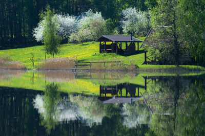 Scenic view of lake and trees by house