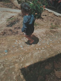 Rear view of boy on shore