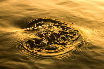 Full frame shot of rippled water