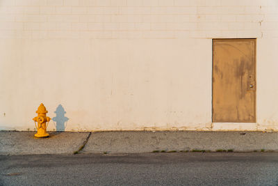 Statue against wall in city