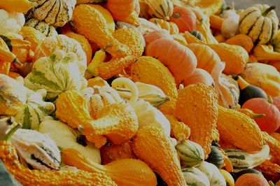 Full frame shot of fruits