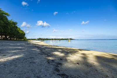 Scenic view of beach against blue sky