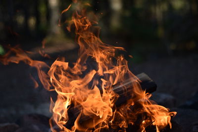 Close-up of bonfire