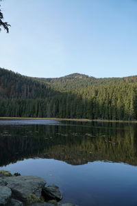 Scenic view of lake in forest against clear sky