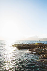 Scenic view of sea against clear sky