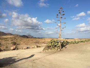 Scenic view of desert against sky