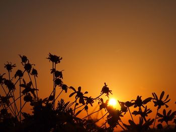 Low angle view of silhouette plants against orange sky