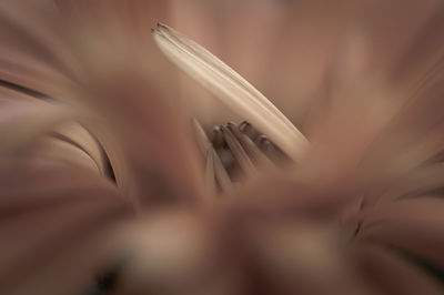High angle view of book