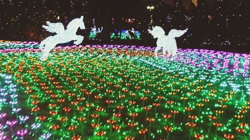 View of illuminated christmas decoration