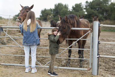 Siblings stroking horses while standing at barn