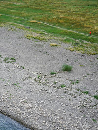 High angle view of road marking on field