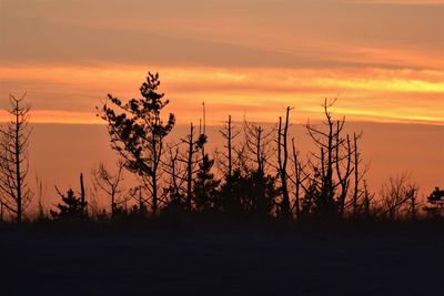 Silhouette trees on field against romantic sky at sunset