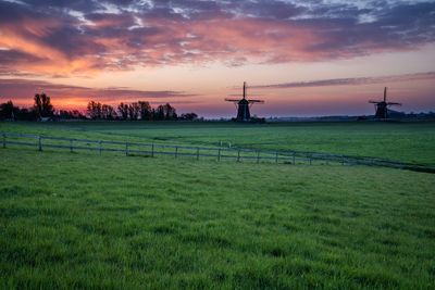 Scenic view of field against sky during sunset